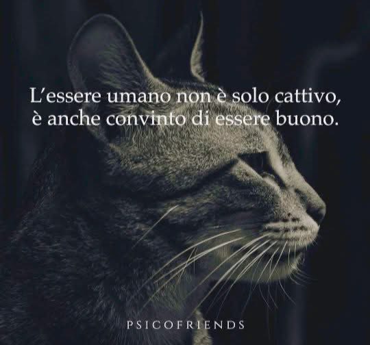 Verissimo, lo vedo ogni giorno quando faccio volontariato…. La cattiveria gratuita della gente ‘normale’ è impressionante come lo è la totale mancanza di empatia verso la sofferenza di ogni essere vivente. A loro basta il ristorante e far finta di essere felici …. fate pena 🤢