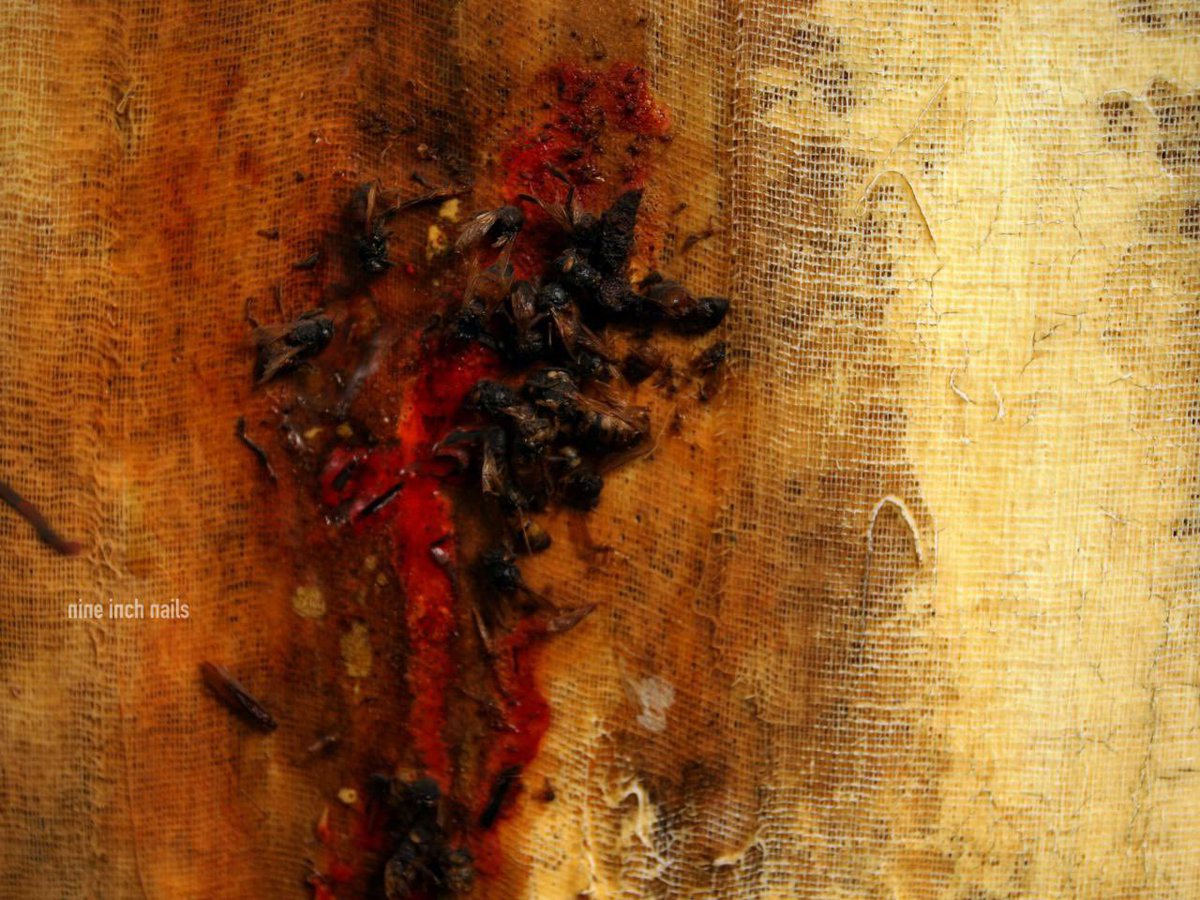 evan 🌆 saw nin 3/1 tweet media