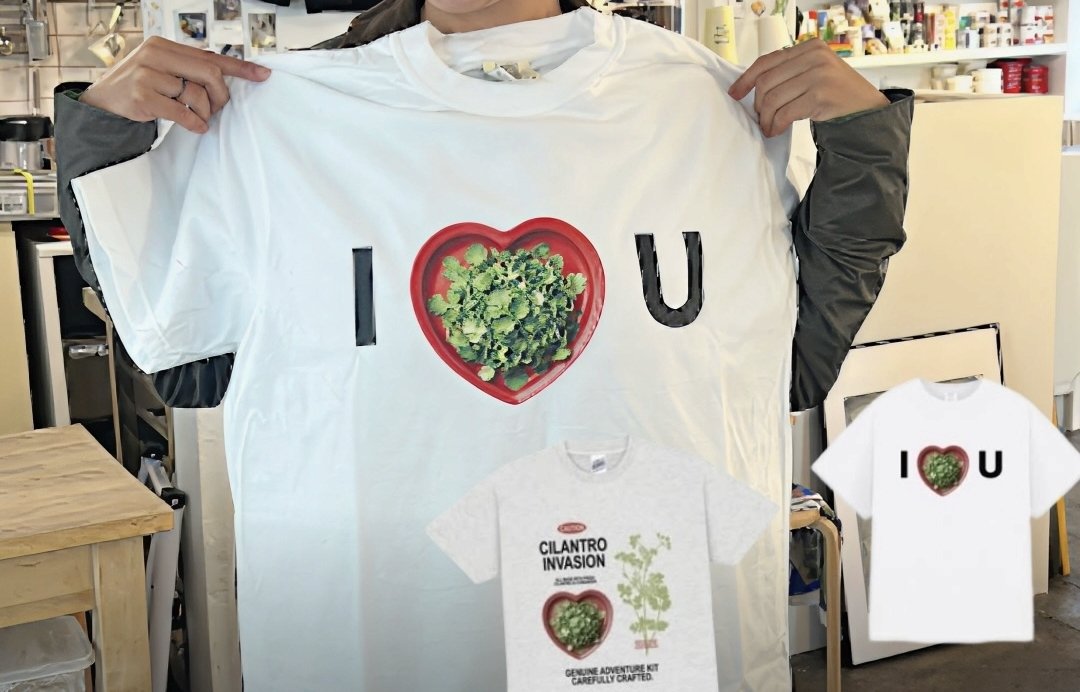 저메고찰자 tweet media