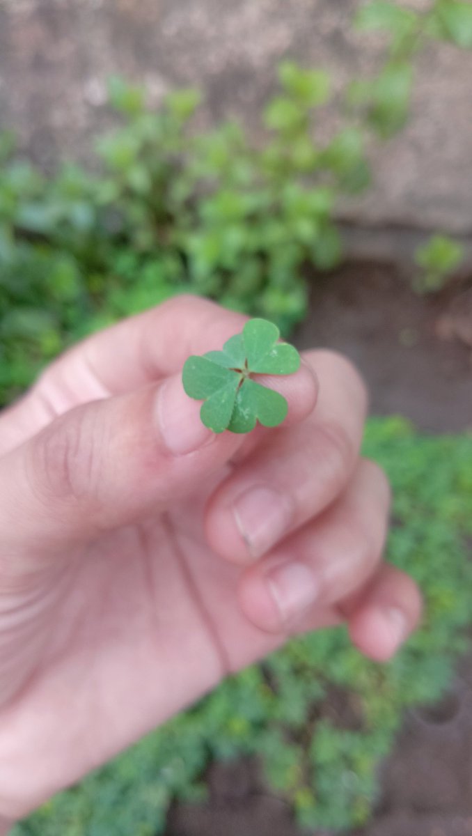 Shain🍁 tweet media