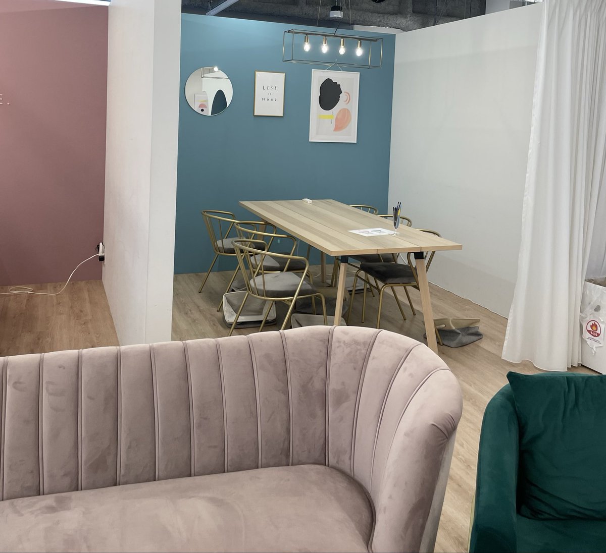 さら🌸 tweet media