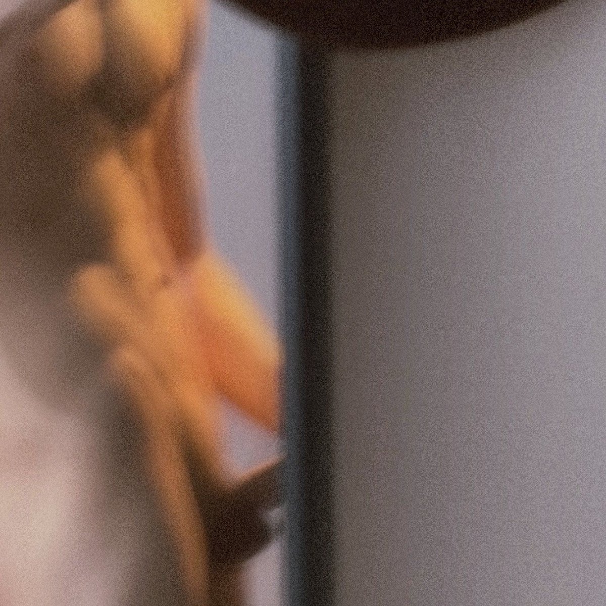 AMERICAN COCK 🇺🇸 tweet media