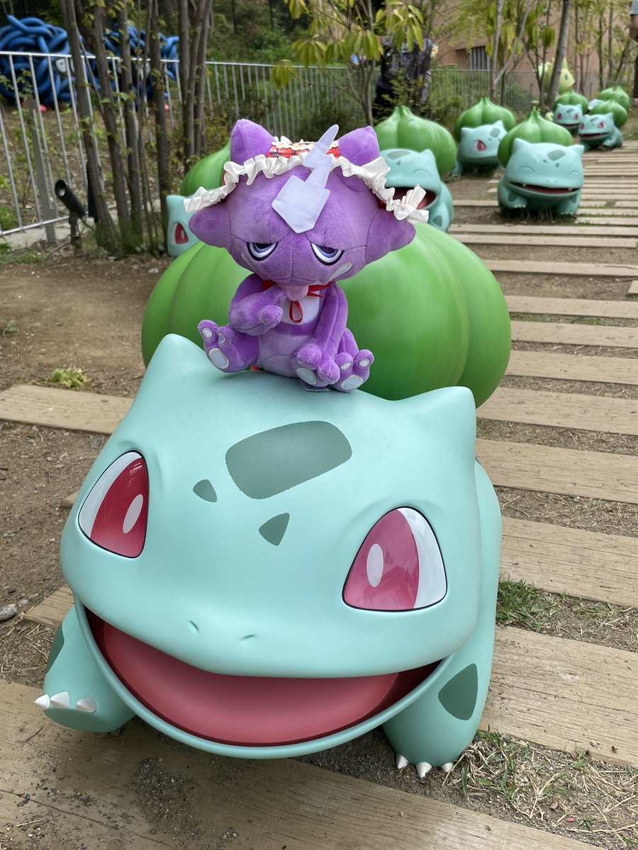 栄美綾香 tweet media