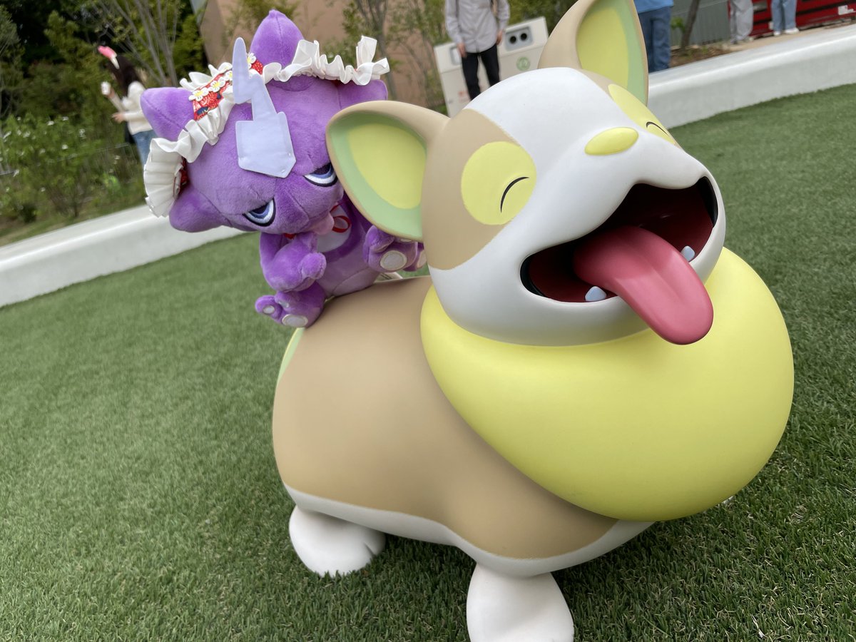 栄美綾香 tweet media