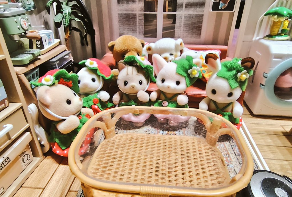 いちご(主🍓& えま·しま·まる 家族の日常) tweet media