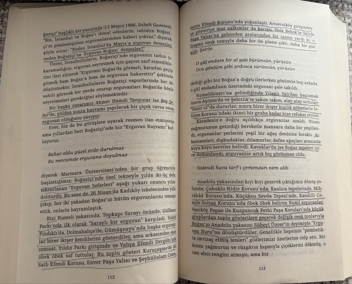 gndlf1903's tweet photo. @kayamerthasan_ Çok güzel bir fotoğraf, teşekkürler. Erguvan denince aklıma İstanbul ve rahmetli Haluk Dursun hoca geliyor. https://t.co/9iq5SK6qo2