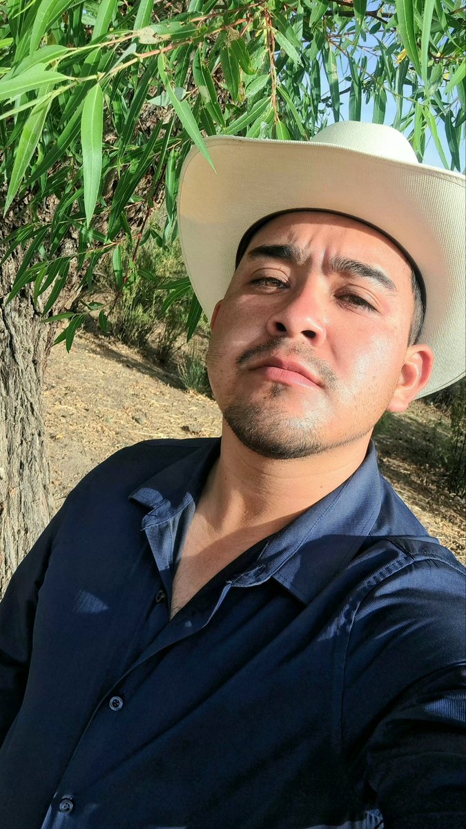 Alejandro tweet media