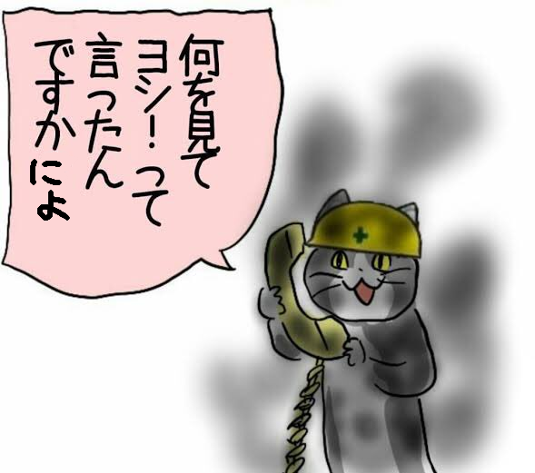 ひえい tweet media