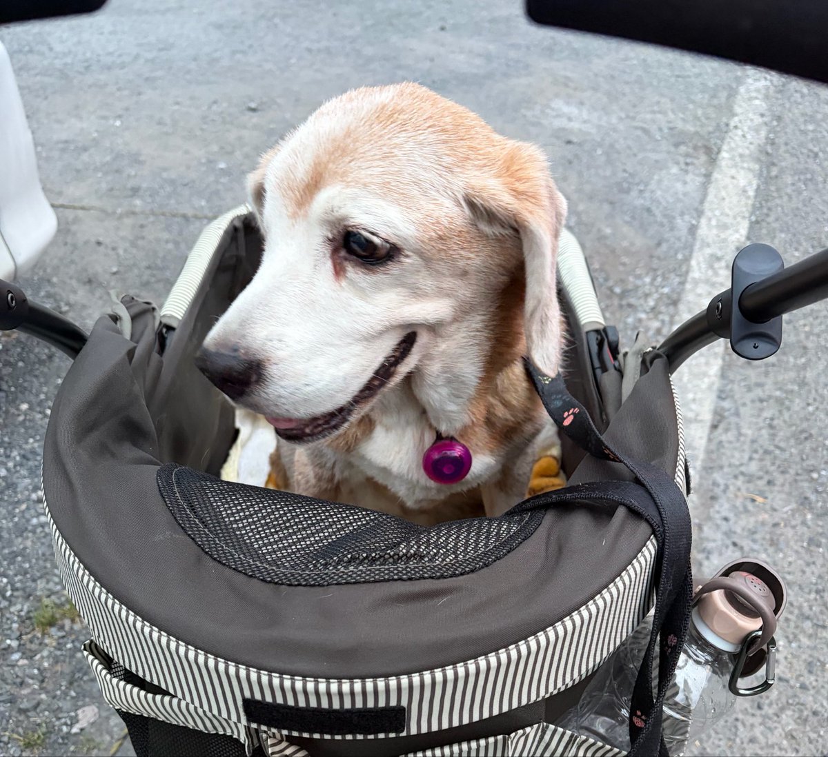 セイル⛵️/勉強&日常【ENTJ-T】 tweet media