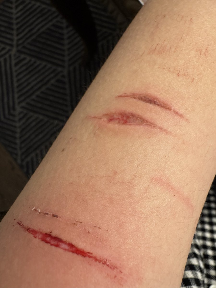 Tea Leaves // Hong Lu of shedtwt!! tweet media