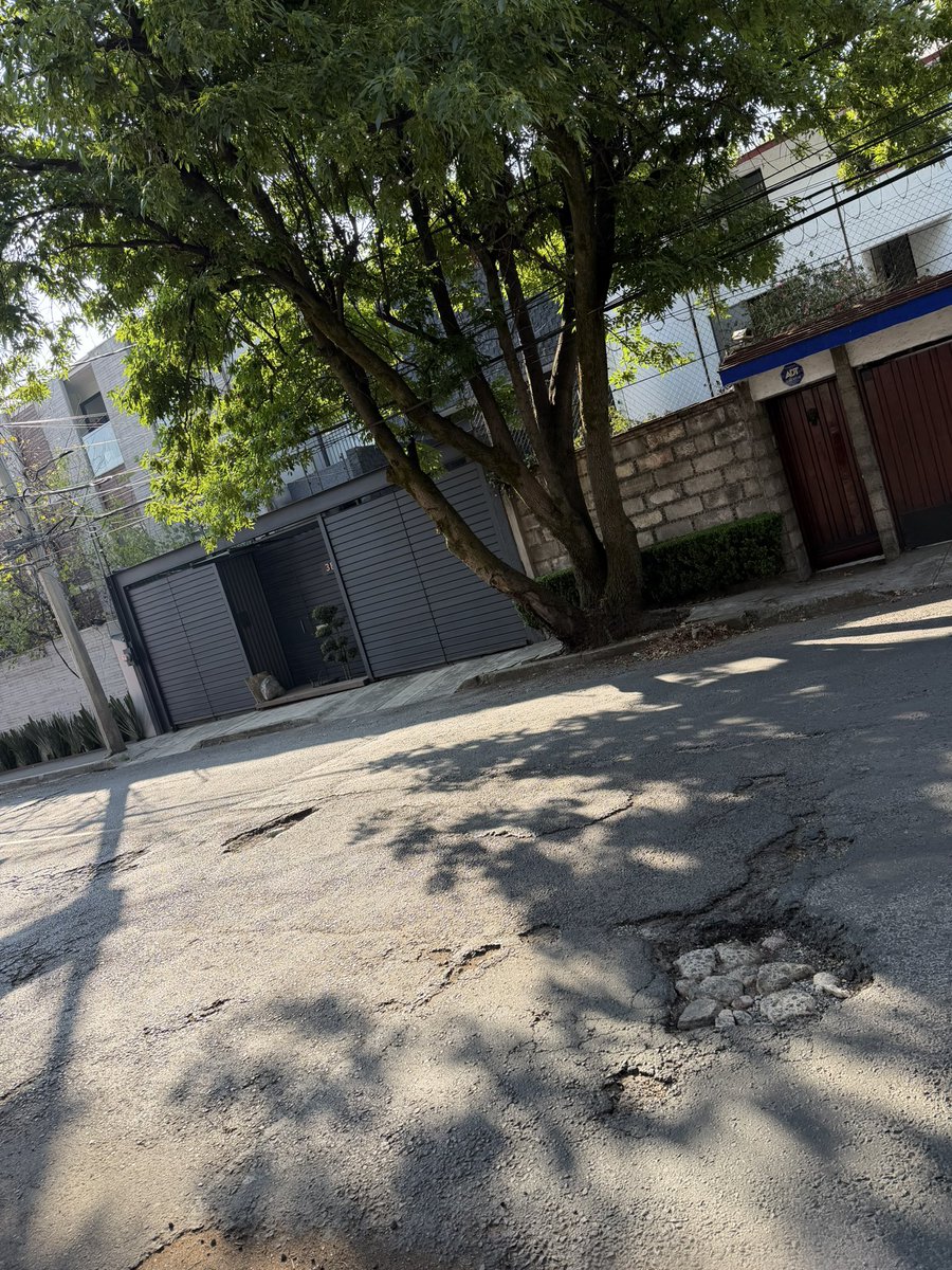 letyColunga's tweet photo. @PORLASAGUILAS @Reforma @AlcaldiaAO @LopezCasarinJ @Carlos_AGH Baches que están desde el 2025!! Calle Ursus y Lafayette C.P. 01810 AAO https://t.co/TtNST6H6d4