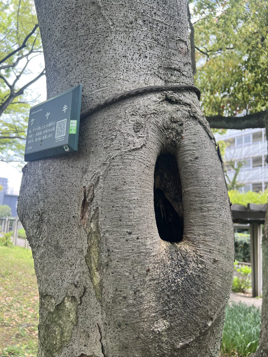 ALPHA洋一(個人タクシー)NO41 tweet media