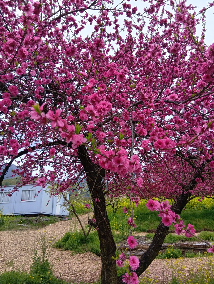 たけみ tweet media