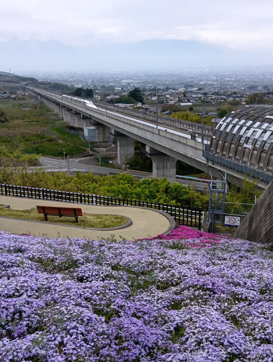 たけみ tweet media