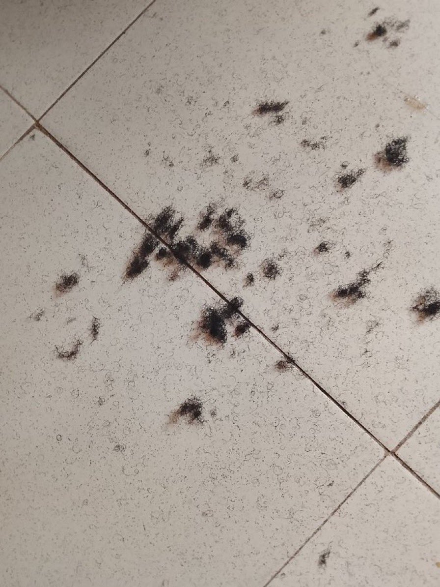 Chase👑 tweet media