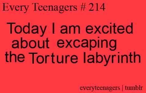 Astolfo's No. 1 🐾🍹 tweet media