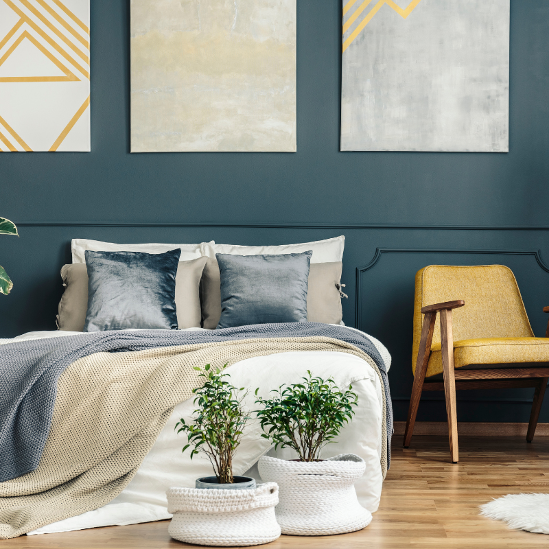 Best Choice Painters tweet media