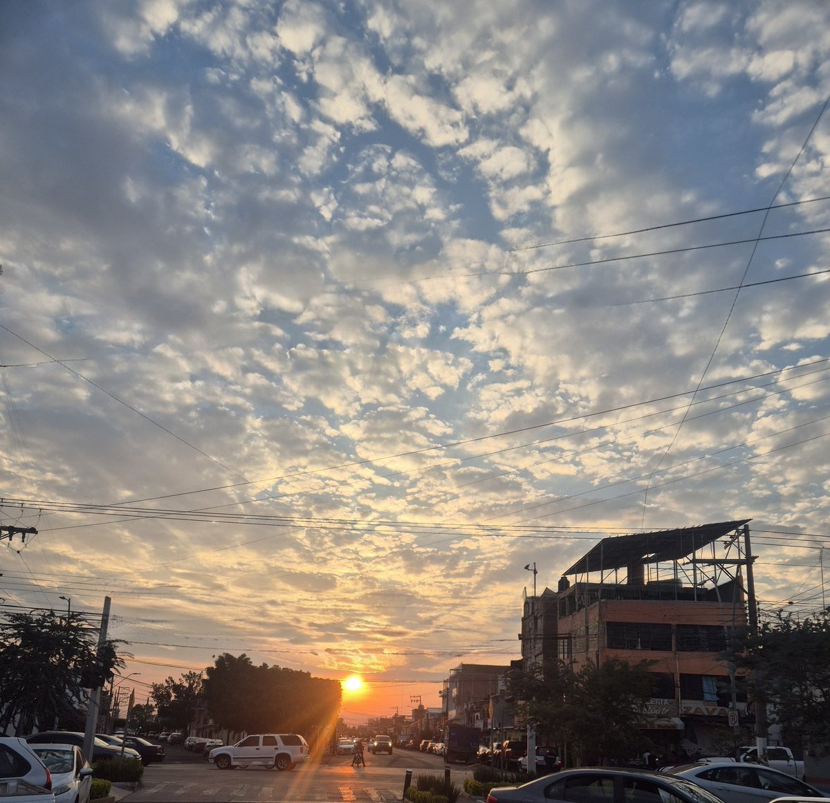 Huache 🐖 tweet media