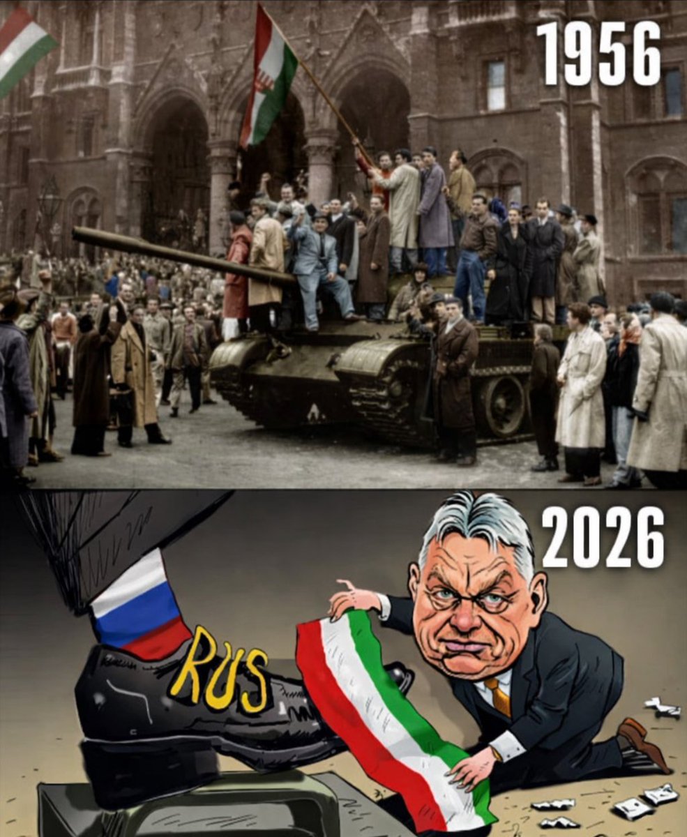 Capt. CubeFella 🇳🇱 🇪🇺 🇺🇦 tweet media