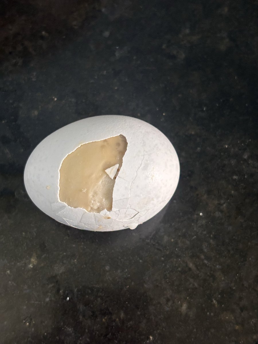 fariduddinmasud's tweet photo. This poison we have ordered from  @_countrydelight. in the name of purity paying super premium price and getting super poison. https://t.co/AhswhiVJ0k