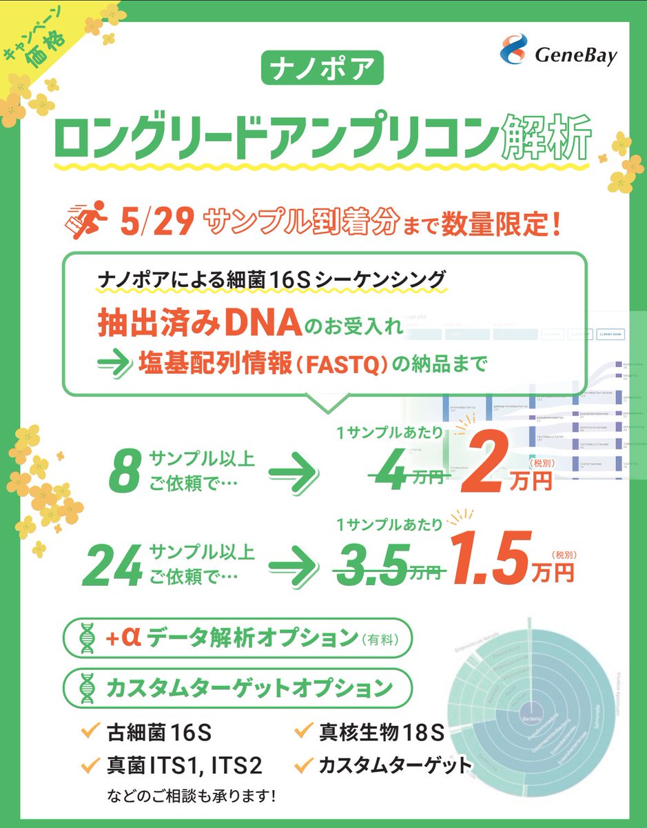 GeneBayInc's tweet photo. 【期間限定キャンペーン】
今だけ！ナノポアロングリード解析をお得に実施できる特別プランをご用意しました。5月末まで＆数量限定のため、お早めに！

詳しくはこちら👇
細菌ゲノム解析
https://t.co/S3xpG2ABcE

アンプリコン解析
https://t.co/sVgHnkPGPx https://t.co/xbAwkp496Q