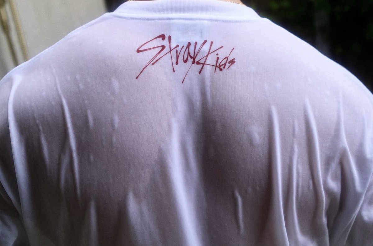 hourly bang chan tweet media