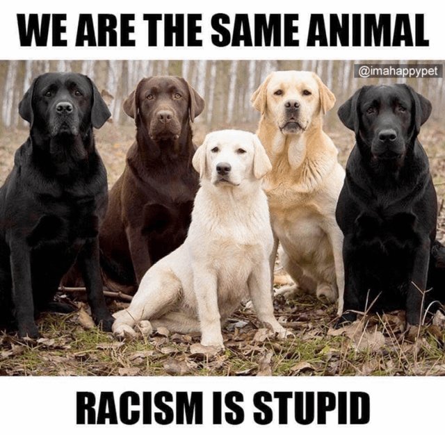 PowerON_SA's tweet image. Not only is #RacismIsStupid, but it makes you come off as stupid too.