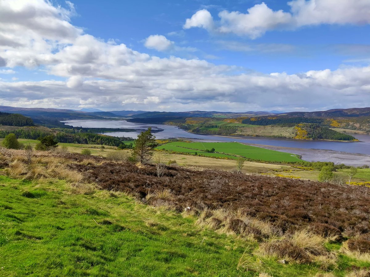 Mystic Scotland tweet media