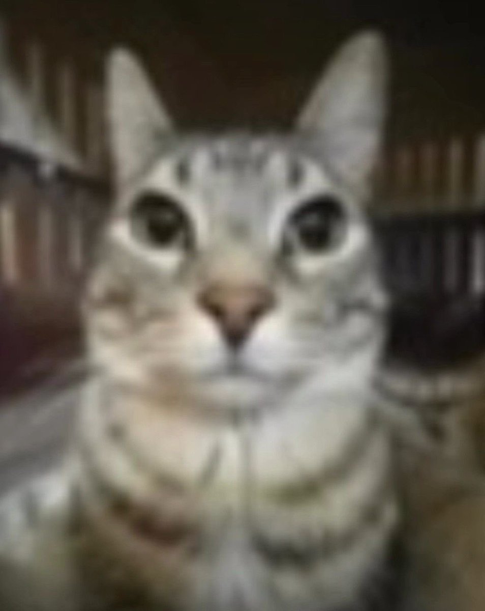 cami⁷ 🪭 vai ver o bts 30/10!! tweet media