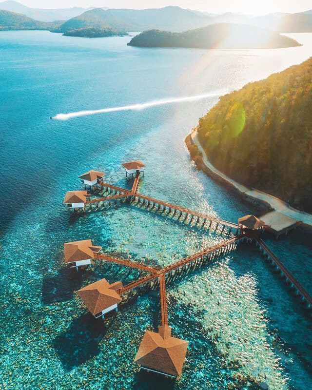 Vibrant Aesthetics tweet media