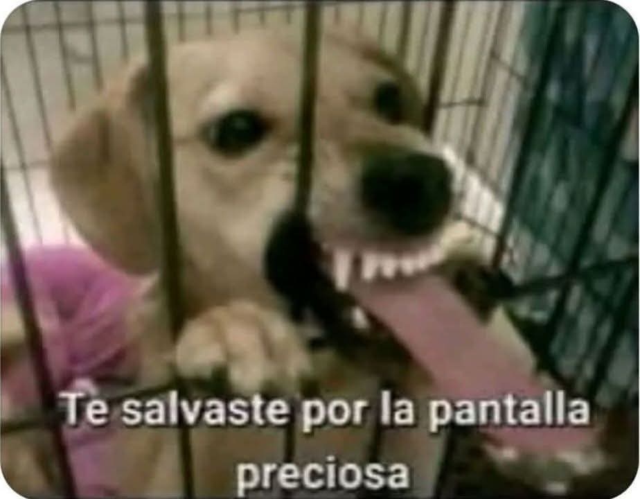 Luisdaniel19993's tweet photo. @ZeusArtNSFW Apenas ví la etiqueta Papu, perdón https://t.co/qoISLv0e5R