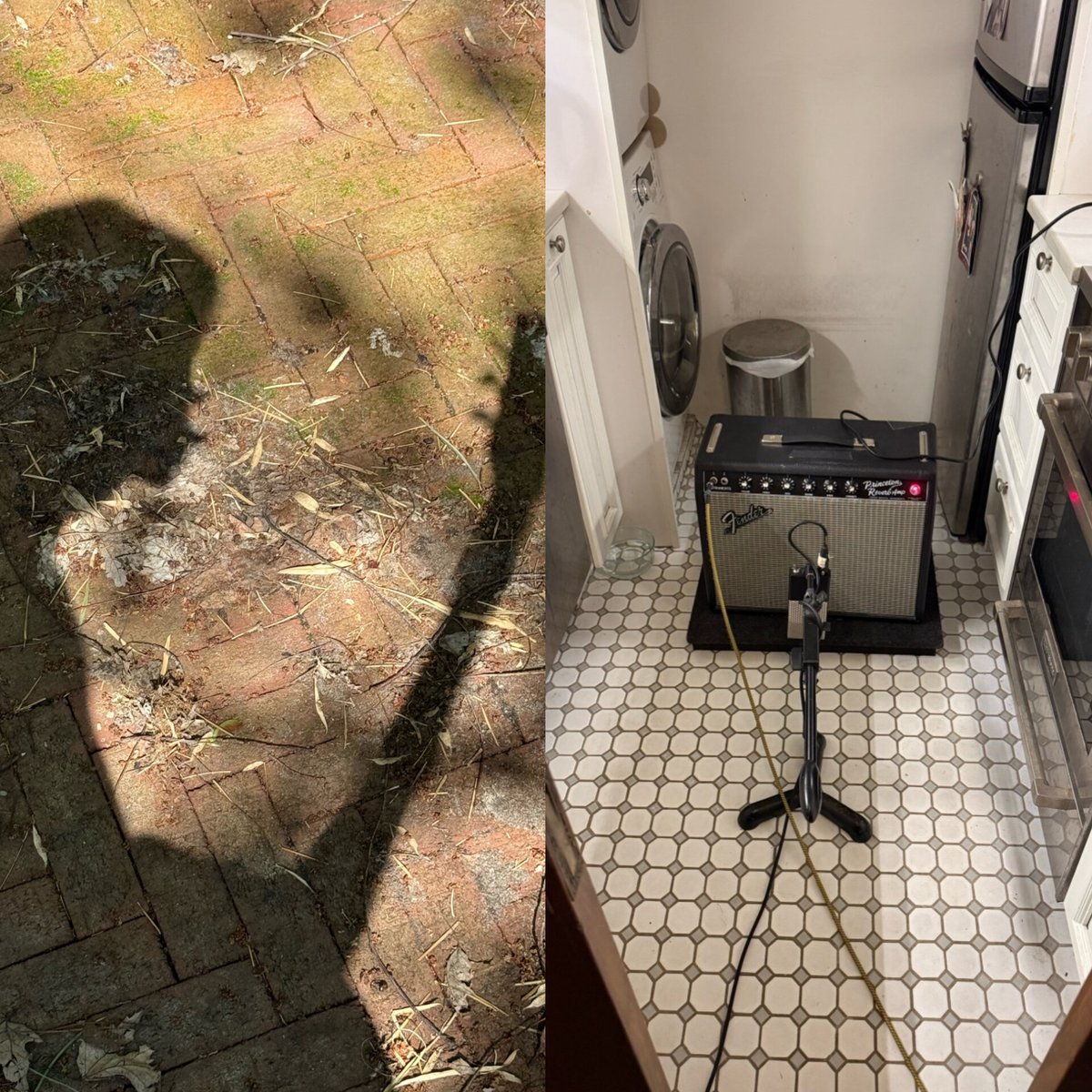 angry paprika tweet media