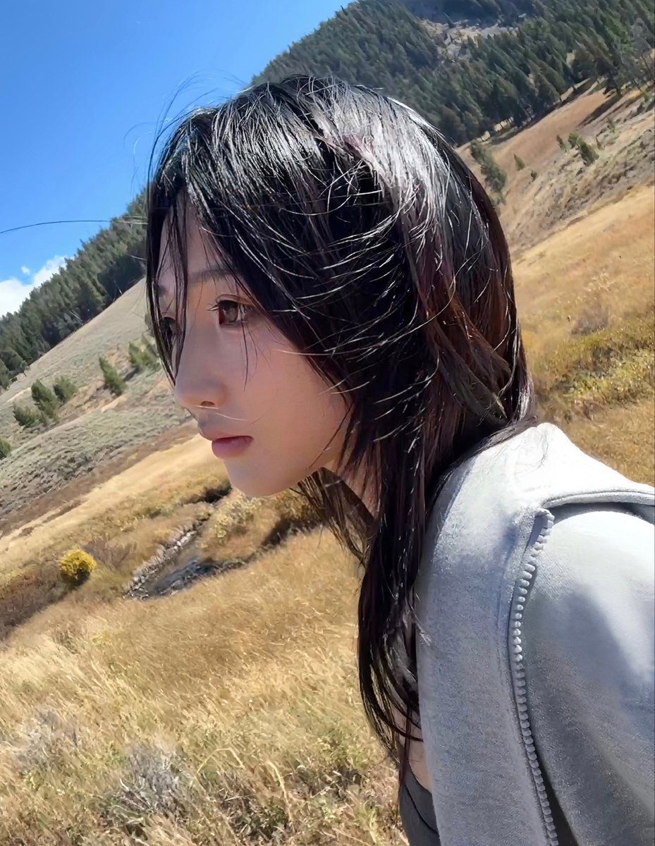 豆子 tweet media