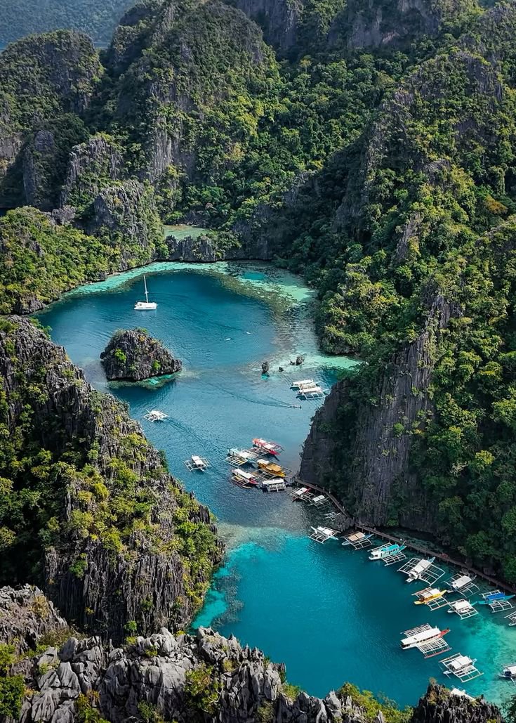 Vibrant Aesthetics tweet media