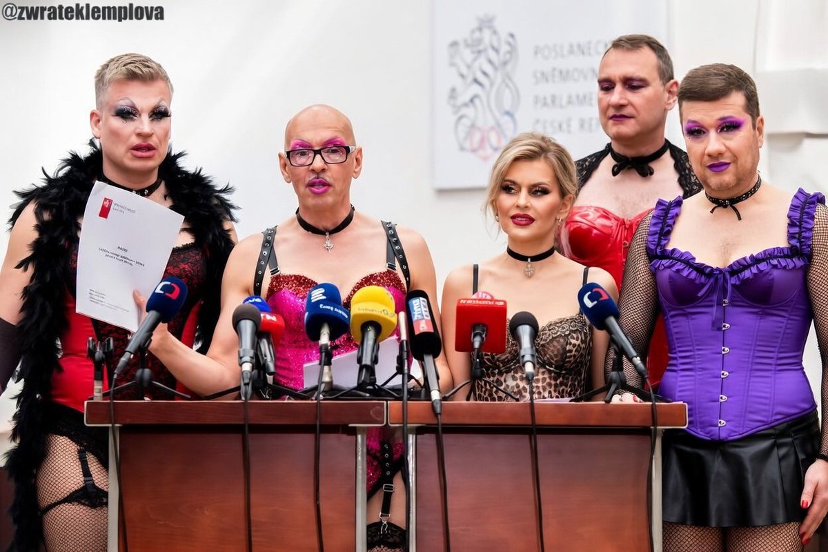 Politické prostitutky by měly být placeny na bázi dobrovolnosti těmi, kteří jsou s jejich prací spokojeni. 

Stávající systém, kdy jsou placeny z peněz všech, je zastaralý.