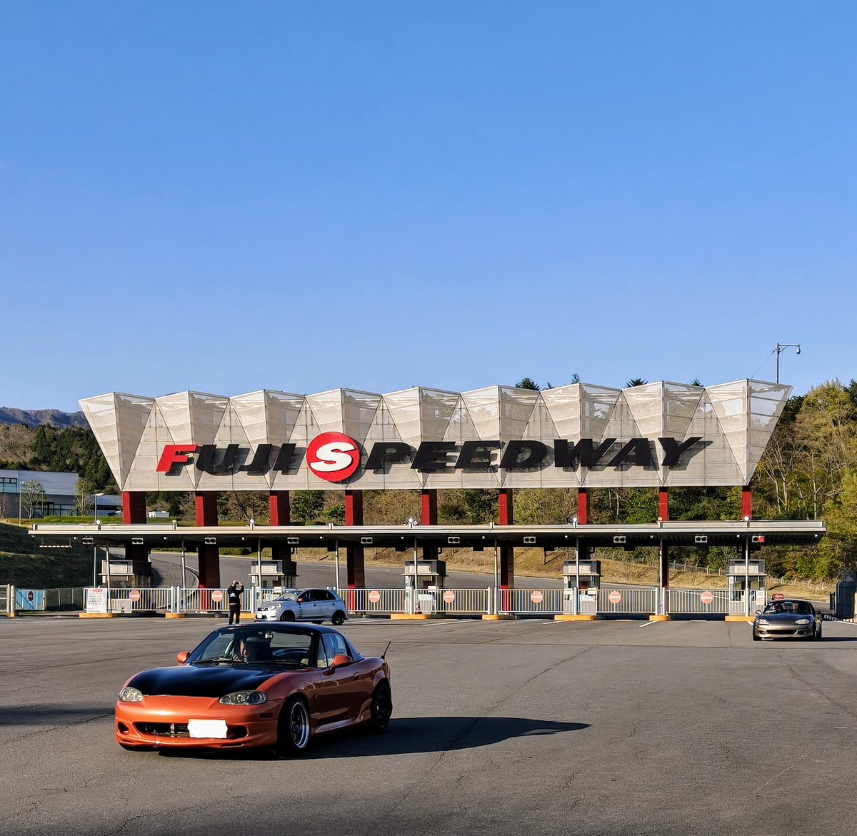 ストライダー麻美RX🐰 tweet media