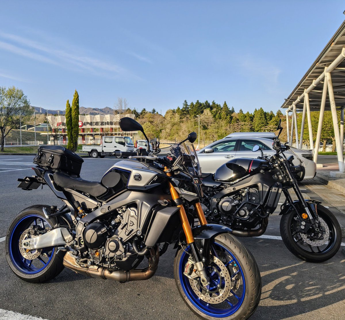 ストライダー麻美RX🐰 tweet media