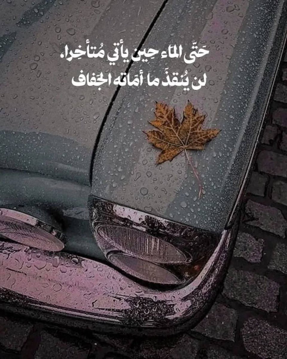 ابـــوعبــدالـعـزيـز tweet media