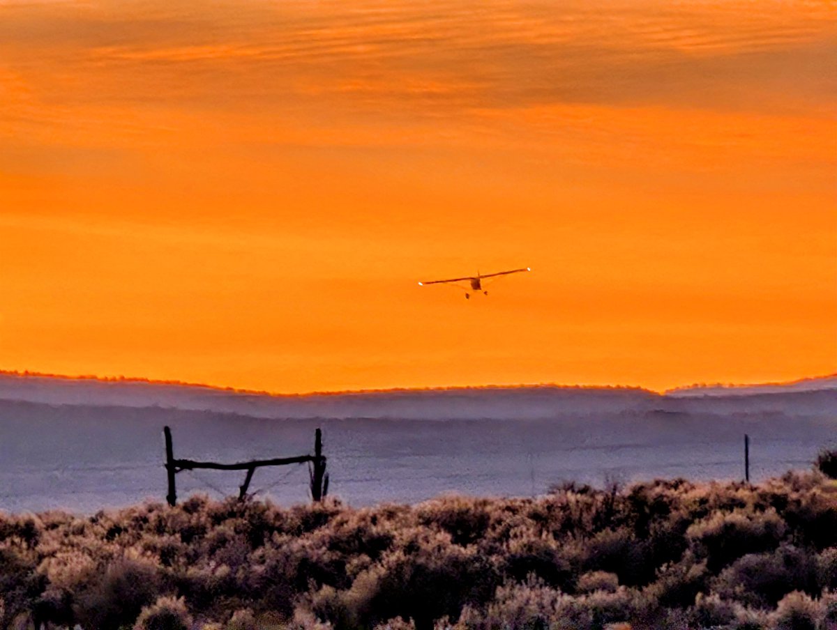 Loralee Logan 🌻🌻🌻 tweet media