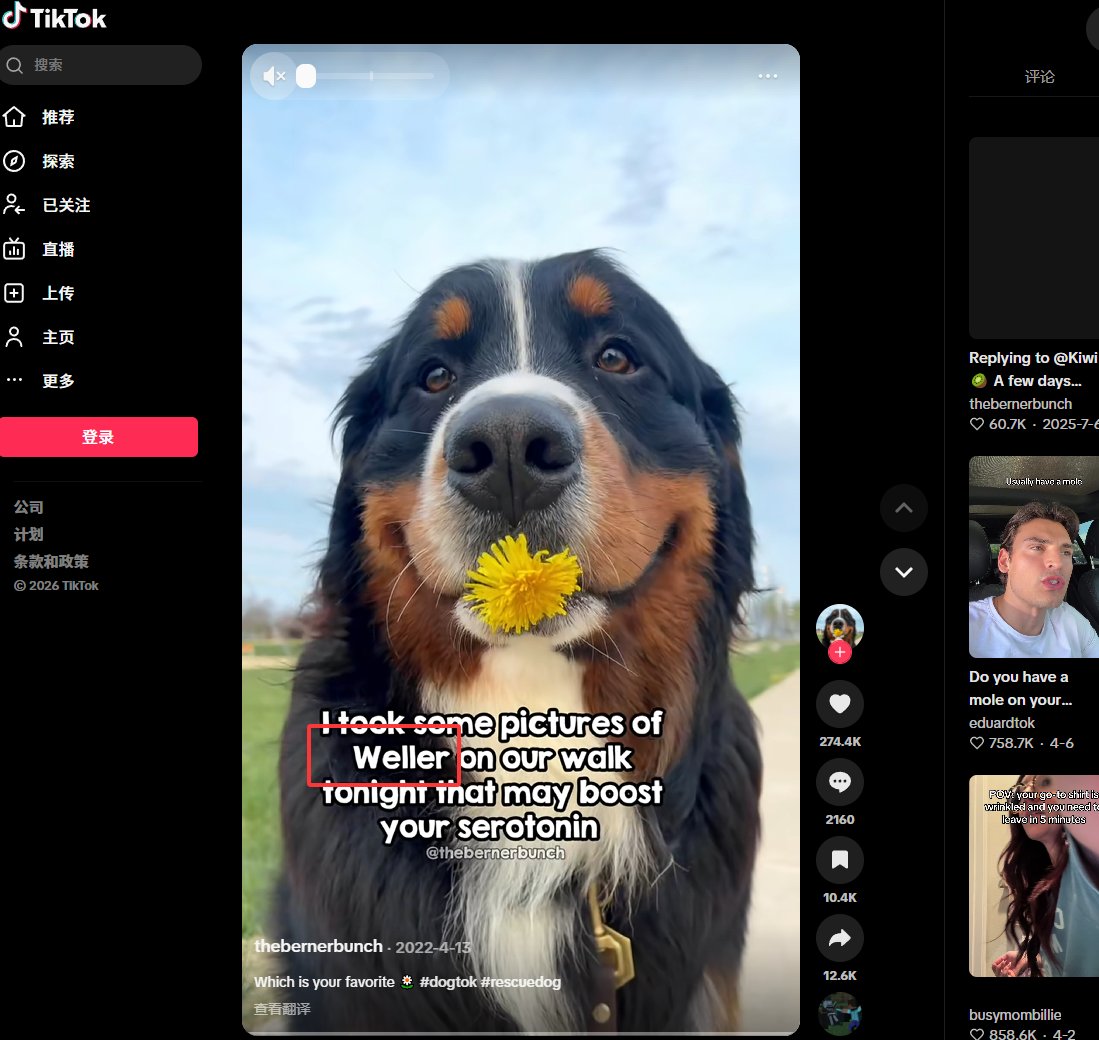 首个TIKTOK 名牌支持的狗狗
直接在应用商店简介页面推荐显示
apps.apple.com/sg/app/tiktok-…
我去TK 找到了这只狗狗 
百万粉丝  5千万点赞  真正的狗中顶流
账号链接
tiktok.com/@thebernerbunch
置顶简介中有名字  
下面视频中也有名字
分流狗不用找了
名字链接tiktok.com/@thebernerbunc… <a href="/Ga__ke/">gake</a>