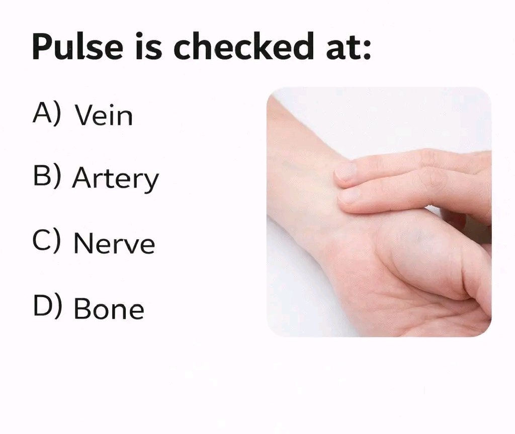UPSC & PCS NOTES tweet media