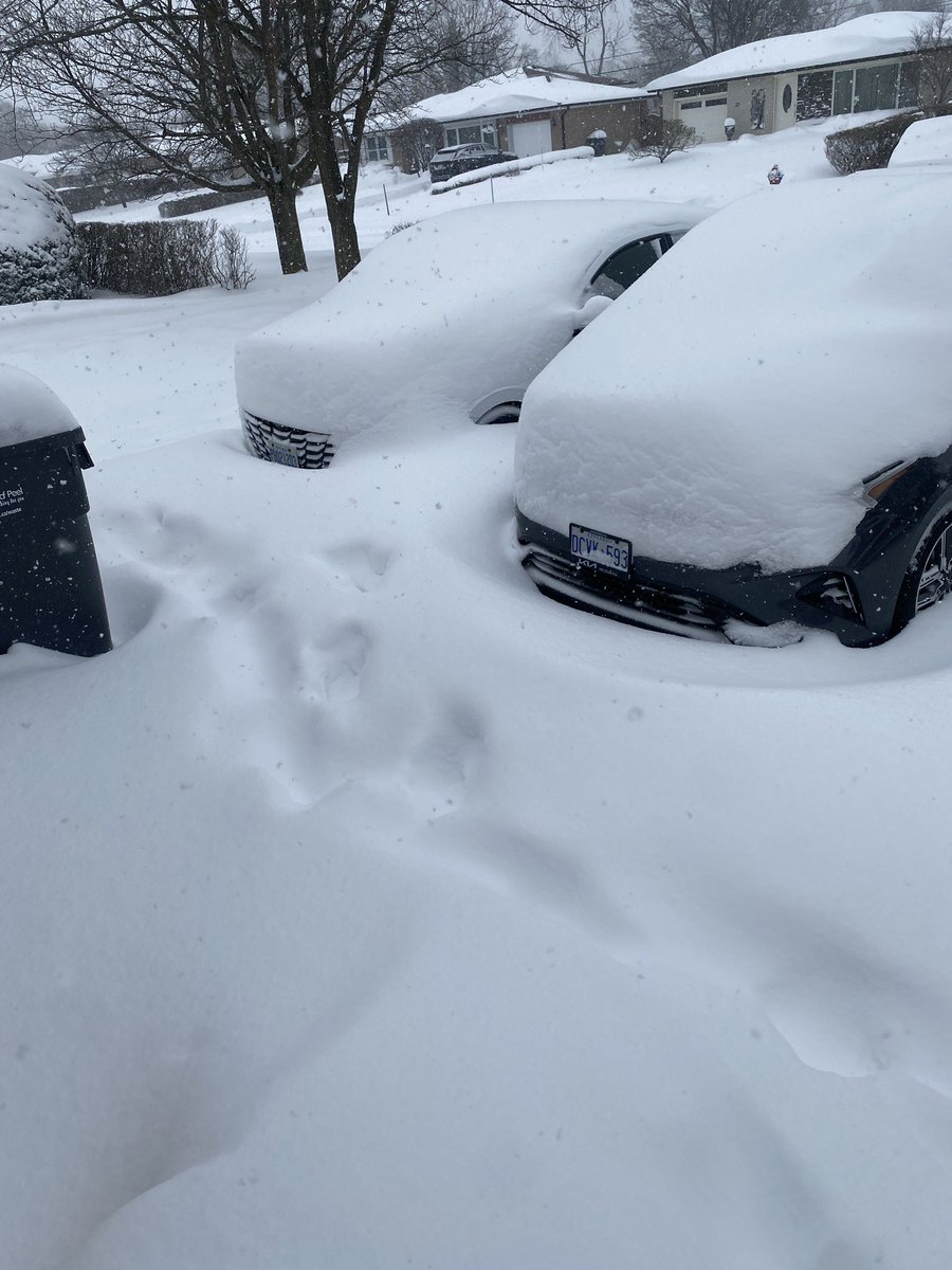 RIKXKOOKIE7 tweet media