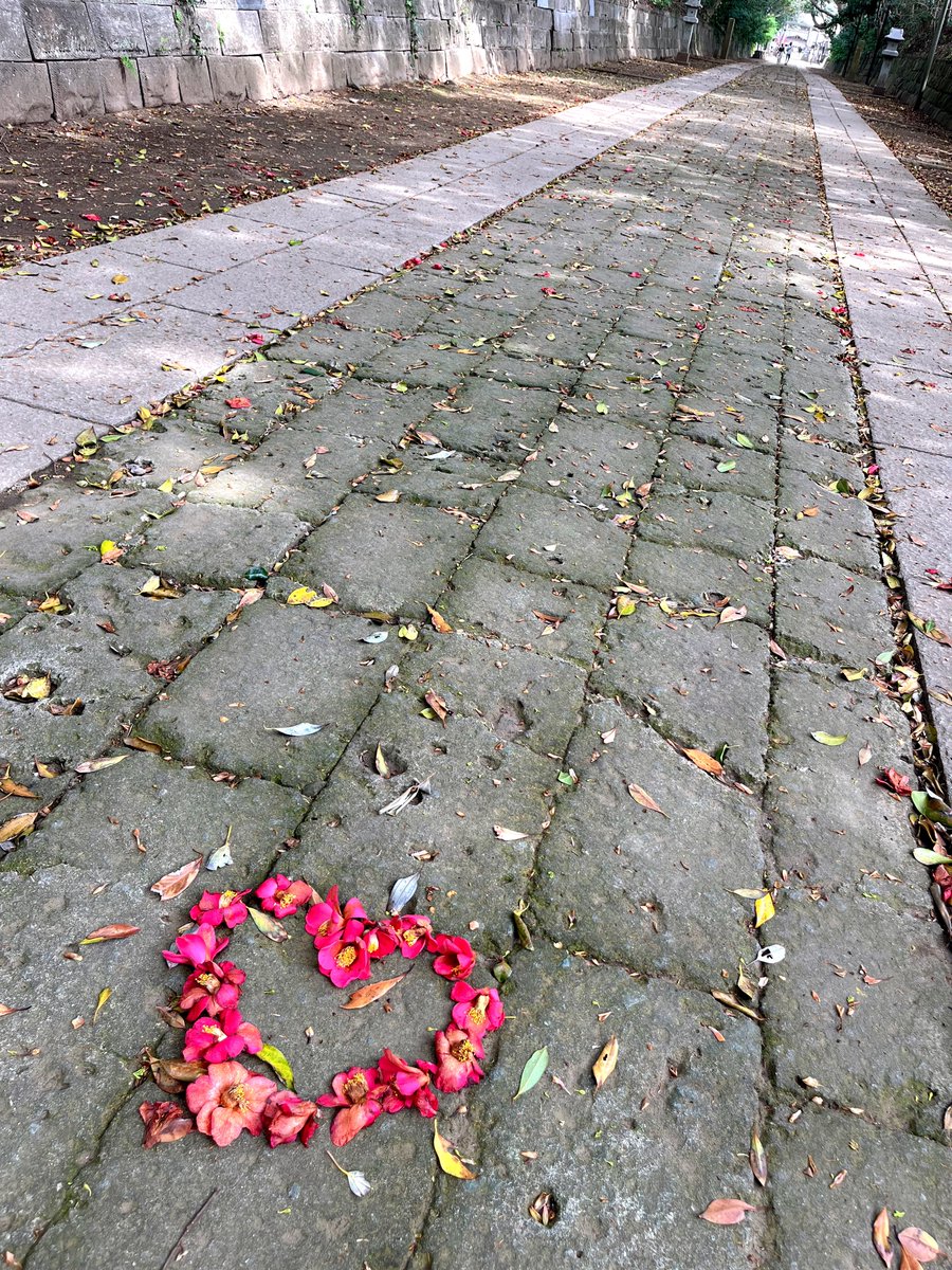 な(ぽ)🐶 tweet media