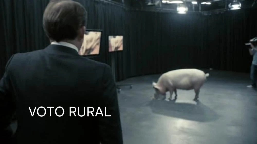 Poco Vicio tweet media