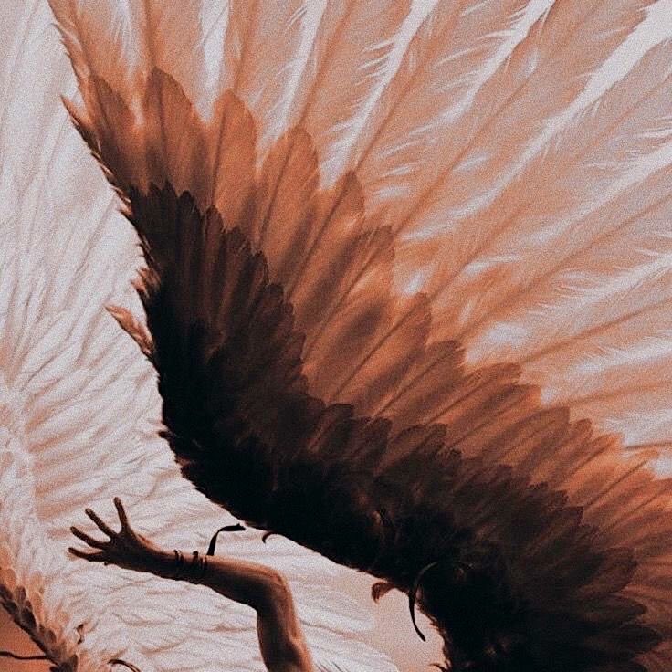 𝒮𝒦𝒴𝐹𝒜𝐿𝐿 tweet media