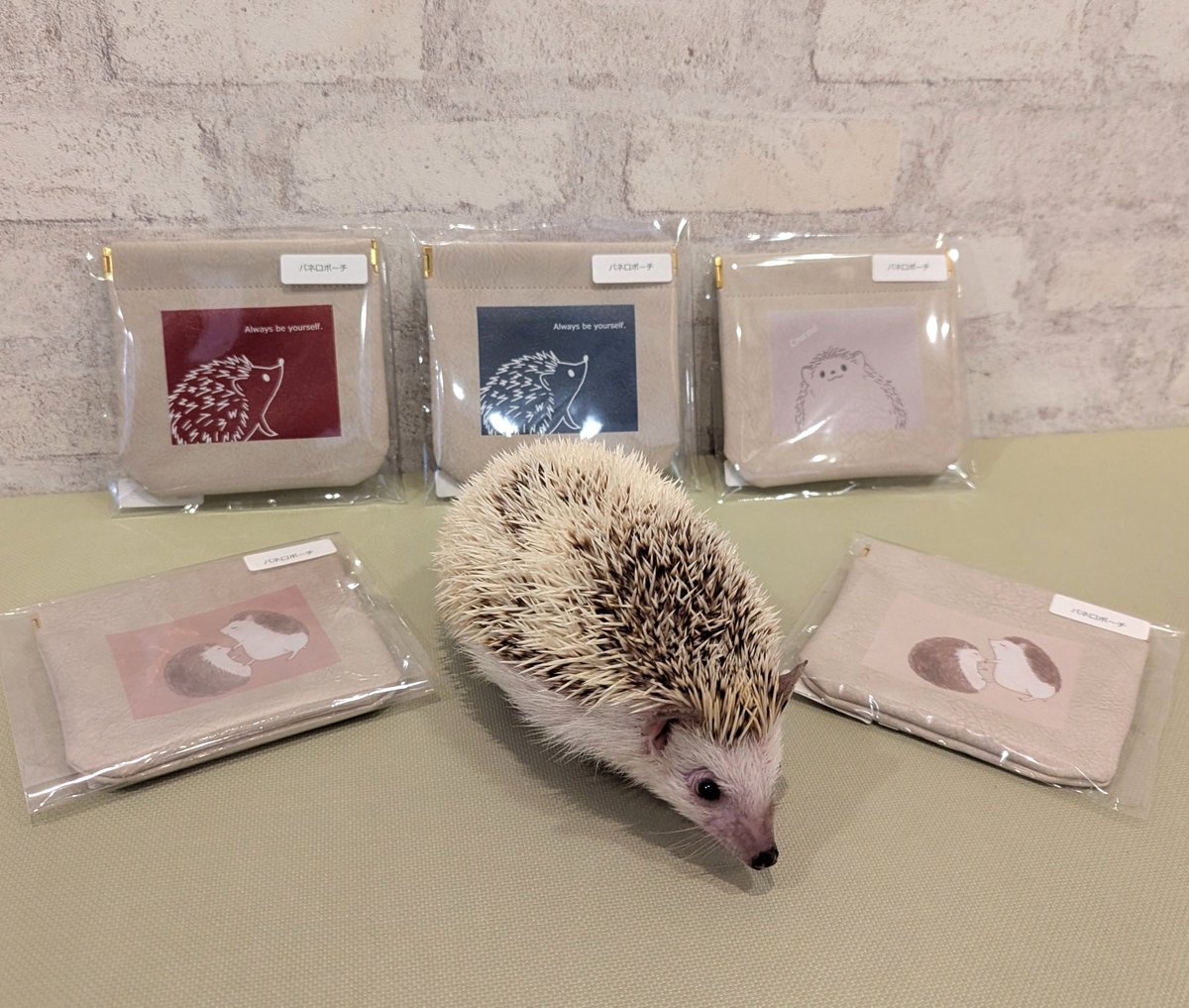Hanamiさん(<a href="/hanami0620/">Hanami</a>)の新作グッズ入荷しました❣

あんずちゃん🦔「どれも可愛い～💖迷っちゃう～💗」

グッズの見学は無料ですので、お気軽にどうぞ🥰
入口担当のハリネズミちゃんにも会いに来てください～🦔💕

#ハリネズミ #かわいい #hedgehog