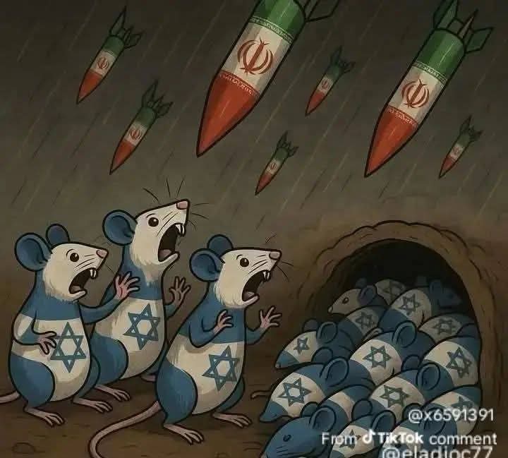 Fioravanti tweet media