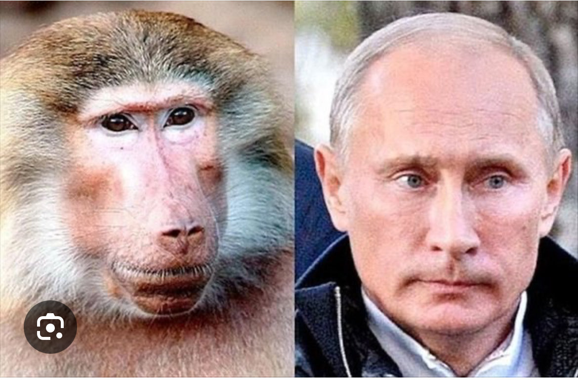 katholikos_khan tweet media