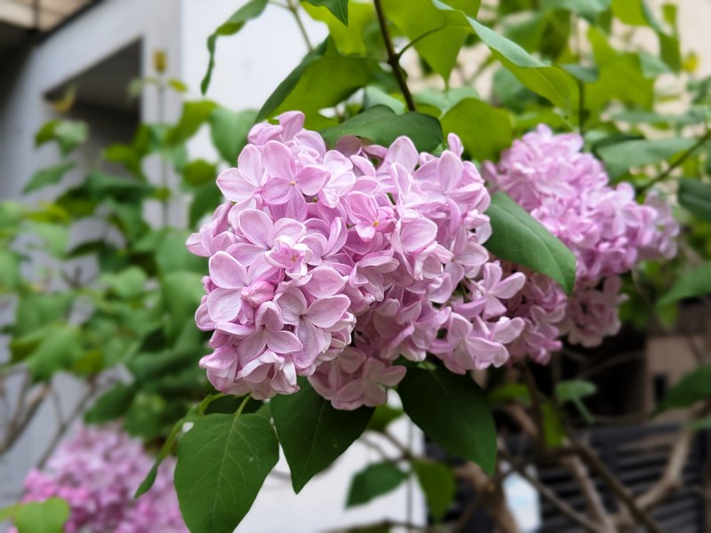 武蔵野ワークス tweet media