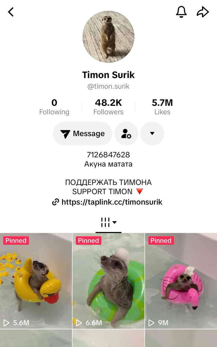 Timon Surik tweet media